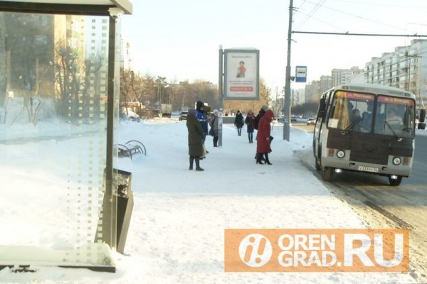 Оренбургские перевозчики не видят оснований для снижения цен за проезд