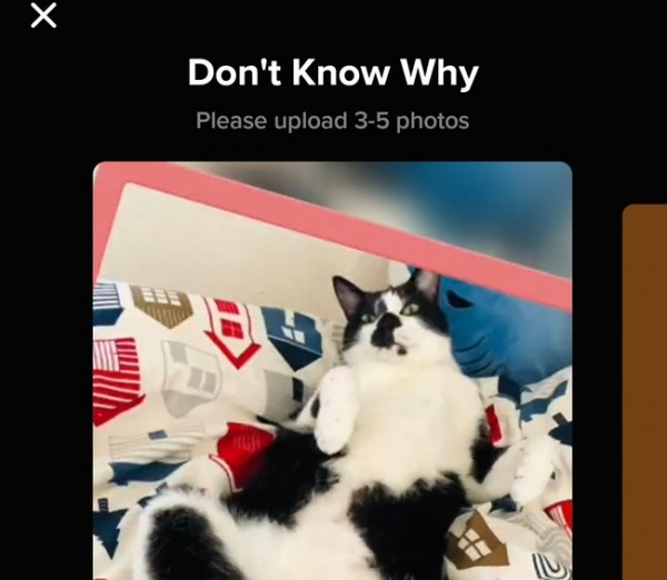 Оренбуржцы не смогут выкладывать видео и вести прямые эфиры в Тik Tok