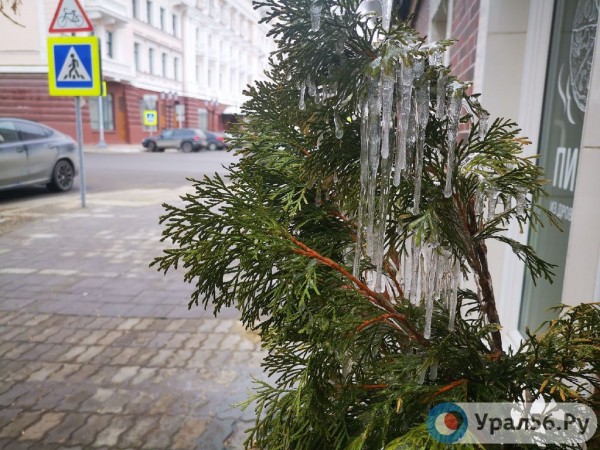 
Зима ночью и весна днем: какая погода ждет жителей Оренбургской области в ближайшие выходные        