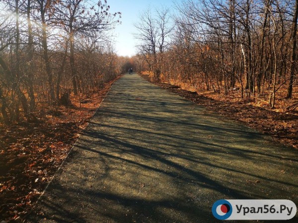 
Сергей Салмин заявил, что подрядчик на четверть миллиарда рублей для парка &laquo;Березка&raquo; уже определен        