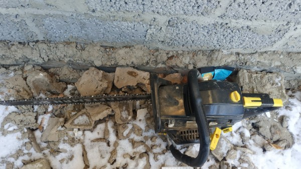 В Оренбуржье перед судом предстанет мужчина, спиливший 9 сосен для перекрытия крыши на бане