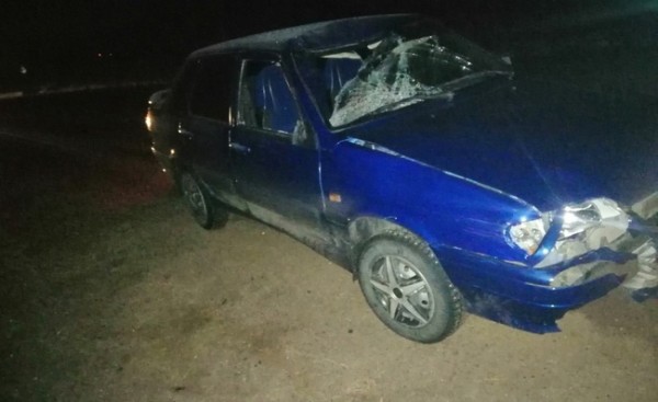 В Оренбуржье под колёсами ВАЗа погиб мужчина (18+)
