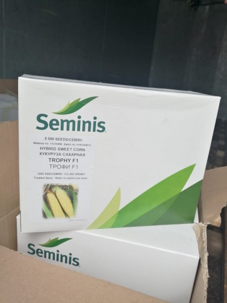 В Оренбуржье из Казахстана поступила партия семян кукурузы и лука без этикеток