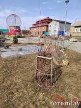 Министр архитектуры Наталья Ибрагимова приехала посмотреть, как перезимовал «арбундинг» Министр архитектуры Наталья Ибрагимова приехала посмотреть, как перезимовал «арбундинг»