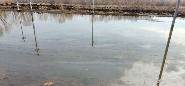 После разгерметизации нефтепровода «Газпромнефти» почва так и остается загрязнённой После разгерметизации нефтепровода «Газпромнефти» почва так и остается загрязнённой