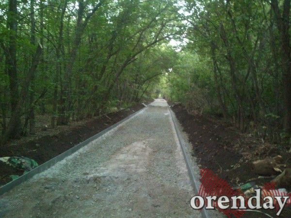 Наталья Ибрагимова рассказала о деятельности минарха Оренбуржья Наталья Ибрагимова рассказала о деятельности минарха Оренбуржья