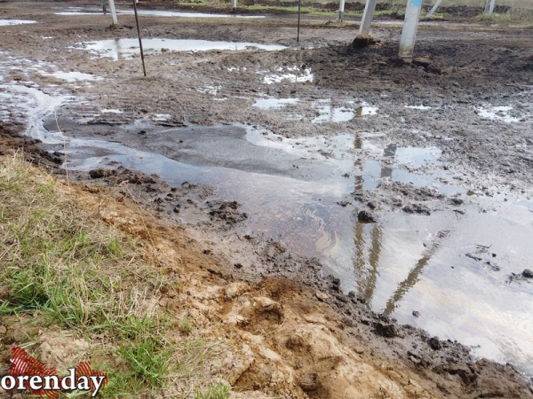 После разгерметизации нефтепровода «Газпромнефти» почва так и остается загрязнённой После разгерметизации нефтепровода «Газпромнефти» почва так и остается загрязнённой