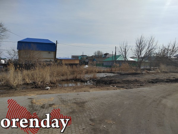 Министр архитектуры Наталья Ибрагимова приехала посмотреть, как перезимовал &laquo;арбундинг&raquo;