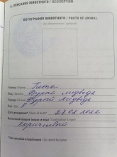 Из Оренбуржья в Узбекистан контрабандисты пытались вывезти бурых медвежат