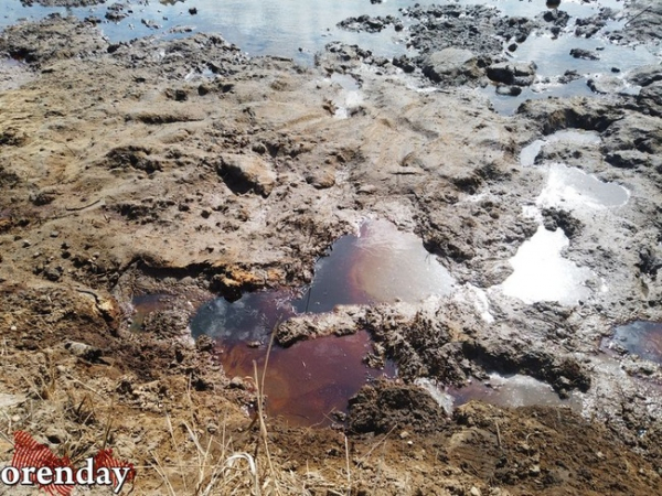 После разгерметизации нефтепровода «Газпромнефти» почва так и остается загрязнённой После разгерметизации нефтепровода «Газпромнефти» почва так и остается загрязнённой