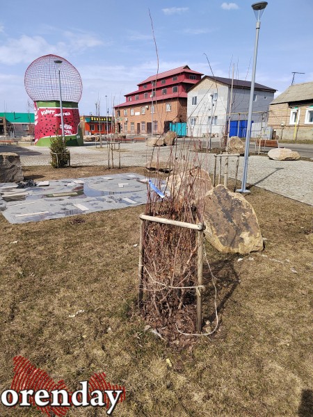 Министр архитектуры Наталья Ибрагимова приехала посмотреть, как перезимовал «арбундинг» Министр архитектуры Наталья Ибрагимова приехала посмотреть, как перезимовал «арбундинг»