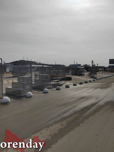 Министр архитектуры Наталья Ибрагимова приехала посмотреть, как перезимовал «арбундинг» Министр архитектуры Наталья Ибрагимова приехала посмотреть, как перезимовал «арбундинг»