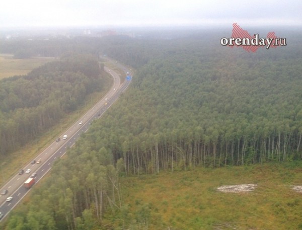 В Оренбуржье с 30 апреля ограничивают посещение лесов и сбор грибов В Оренбуржье с 30 апреля ограничивают посещение лесов и сбор грибов