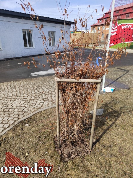 Министр архитектуры Наталья Ибрагимова приехала посмотреть, как перезимовал &laquo;арбундинг&raquo;