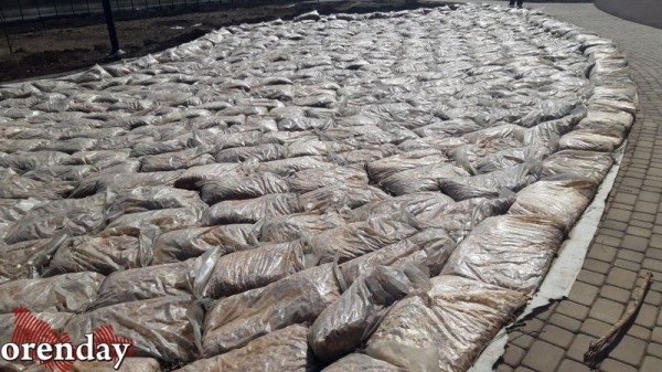 Наталья Ибрагимова рассказала о деятельности минарха Оренбуржья Наталья Ибрагимова рассказала о деятельности минарха Оренбуржья