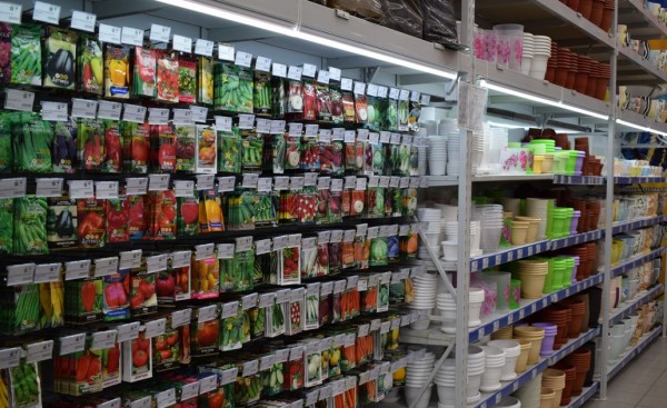 
В Орске пройдет ярмарка рассады и саженцев        