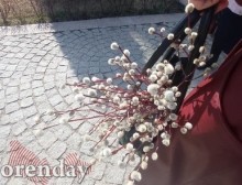 В храмах Оренбуржья освятили ветви вербы